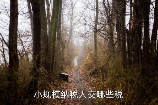 小規模都交什么稅，小規模納稅人要交什么稅