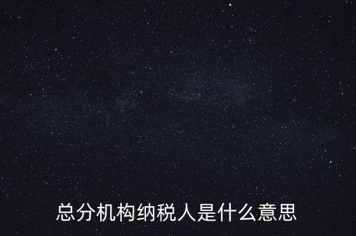總分機構納稅人是什么意思