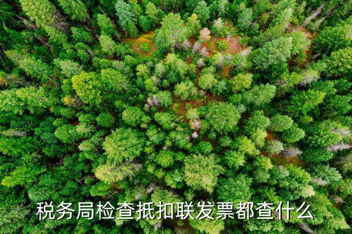 稅務局檢查抵扣聯發票都查什么
