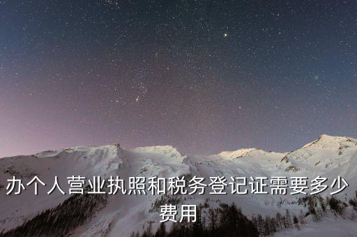 辦個人營業執照和稅務登記證需要多少費用