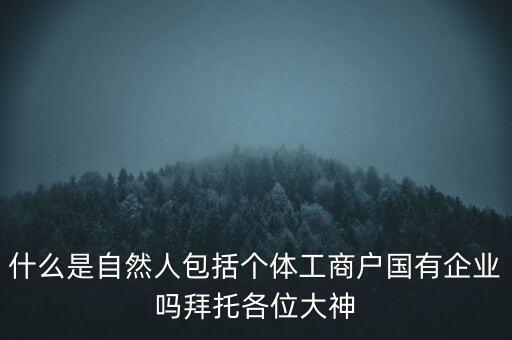 什么是稅務中的自然人，會計中自然人所指的是那種人