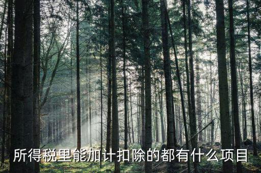 什么企業加計扣除，人員工資加計扣除政策是什么意思