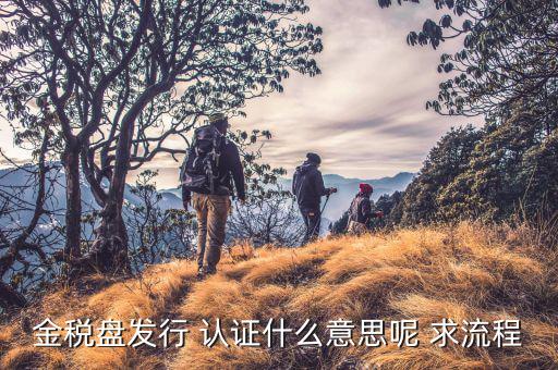 金稅盤發行 認證什么意思呢 求流程