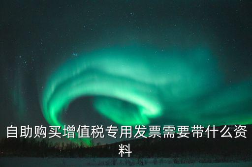 自助購買增值稅專用發票需要帶什么資料