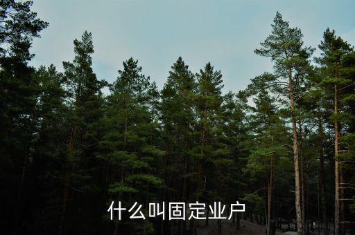 什么叫固定業戶