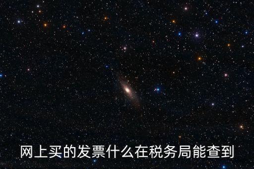 網上買的發票什么在稅務局能查到