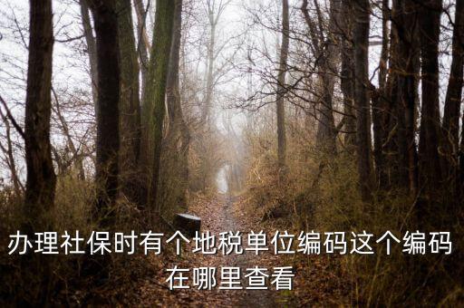 稅務局編號在什么位置，安康稅務機關地區編號在哪里