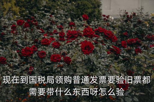 現在到國稅局領購普通發票要驗舊票都需要帶什么東西呀怎么驗