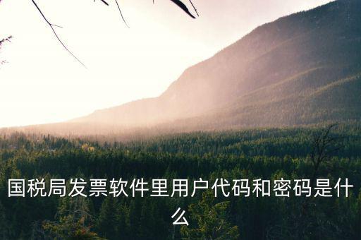 個稅用戶代碼是什么，國稅局發票軟件里用戶代碼和密碼是什么
