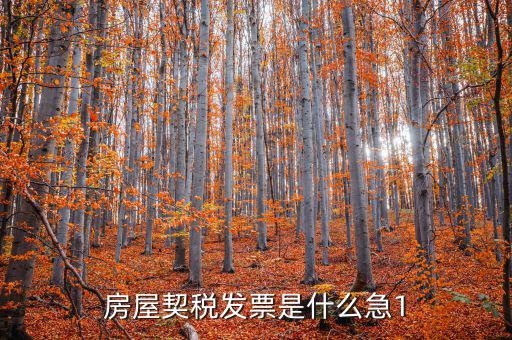 房屋契稅發票是什么急1