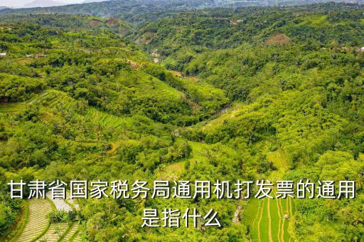 山西省稅務局六最是指什么，甘肅省國家稅務局通用機打發票的通用是指什么