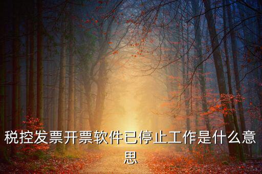 稅控發票開票軟件已停止工作是什么意思
