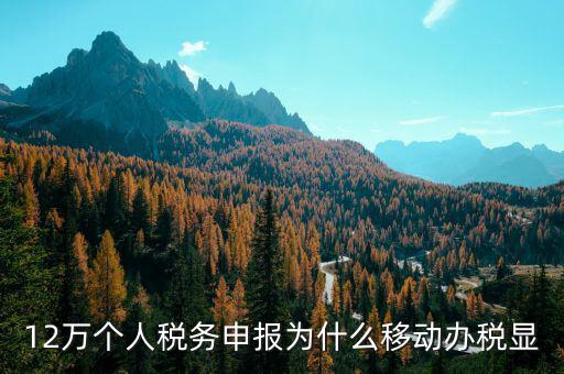 12萬個人稅務申報為什么移動辦稅顯