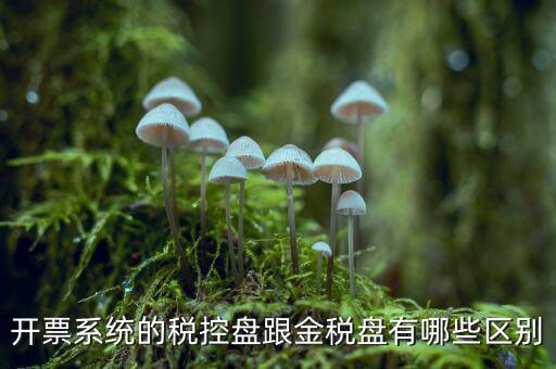 開票系統的稅控盤跟金稅盤有哪些區別