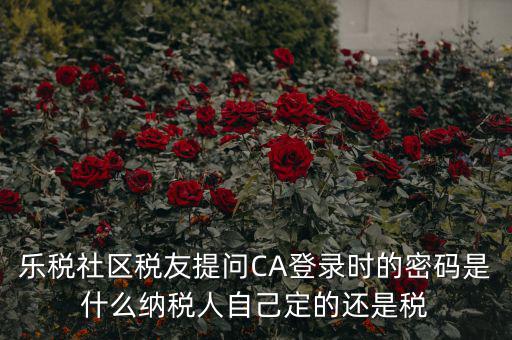 樂稅社區稅友提問CA登錄時的密碼是什么納稅人自己定的還是稅