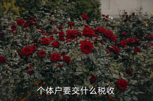 新開個(gè)體戶要交什么稅，我想開個(gè)小店當(dāng)個(gè)體戶請(qǐng)問要交什么稅