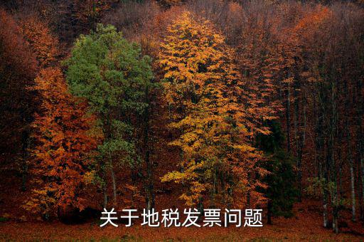 關于地稅發票問題