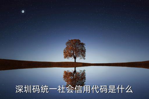 深圳碼統一社會信用代碼是什么