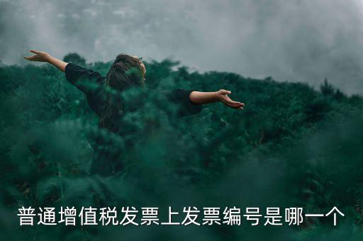 增值稅編號是什么，普通增值稅發票上發票編號是哪一個