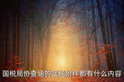 國稅局協查涵的回涵附件都有什么內容