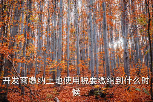 開發商繳納土地使用稅要繳納到什么時候
