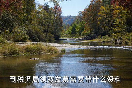 到稅務局領取發票需要帶什么資料