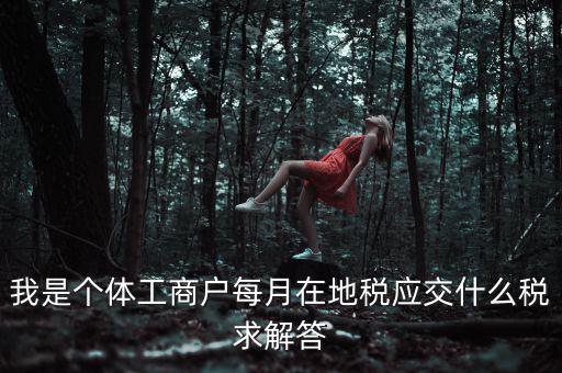 個(gè)體戶地稅局交什么稅，個(gè)體經(jīng)營(yíng)戶地稅是按什么標(biāo)準(zhǔn)收費(fèi)的