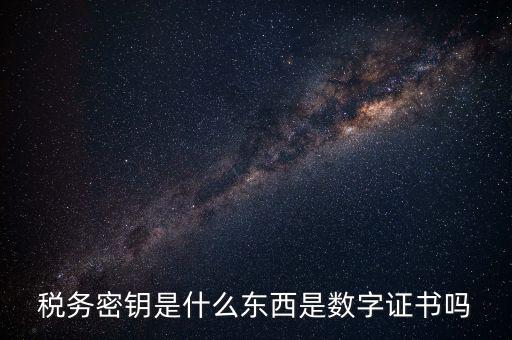 稅務密鑰是什么東西是數字證書嗎