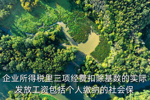 企業所得稅里三項經費扣除基數的實際發放工資包括個人繳納的社會保