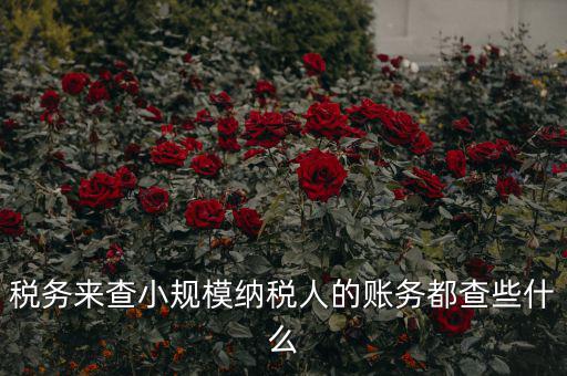 稅務來查小規模納稅人的賬務都查些什么