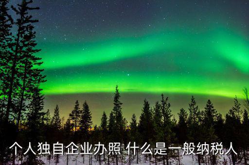 個人獨自企業辦照 什么是一般納稅人