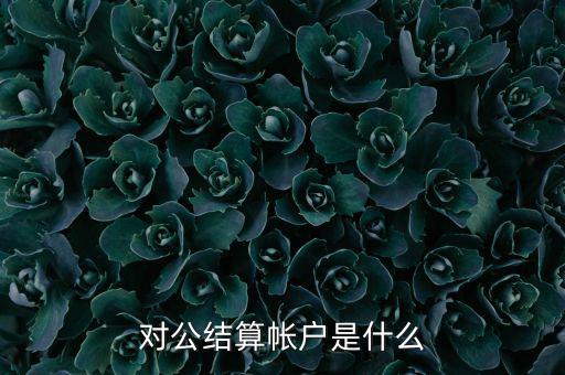 什么是稅務待結算賬戶，結算賬戶有哪些