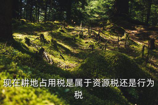 現在耕地占用稅是屬于資源稅還是行為稅