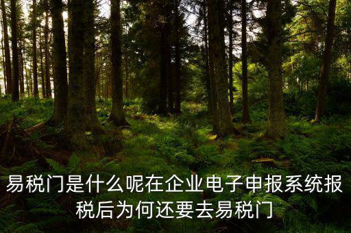 易稅門是什么呢在企業電子申報系統報稅后為何還要去易稅門