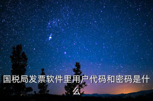 登錄稅務開票密碼是什么，國稅第一次網上申報的登陸密碼是什么