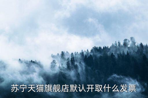 蘇寧天貓旗艦店默認開取什么發票