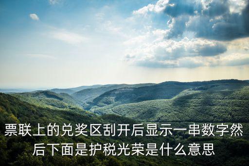 護稅光榮什么意思，為什么我的發票總是護稅光榮