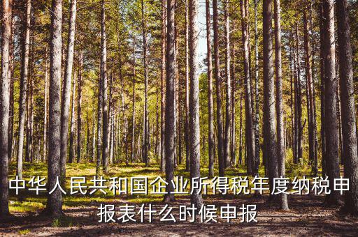 國稅企業所得稅什么時候申報，企業所得稅申報時間
