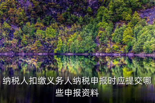 納稅人扣繳義務人納稅申報時應提交哪些申報資料