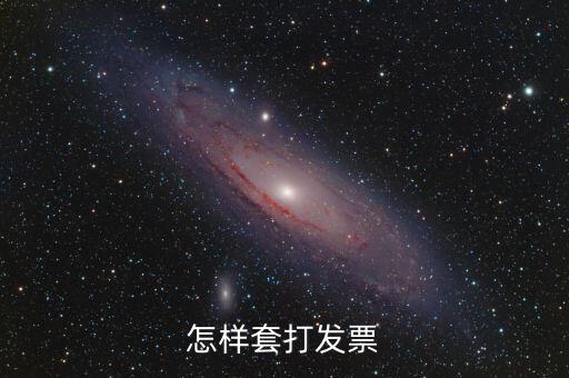 怎樣套打發票