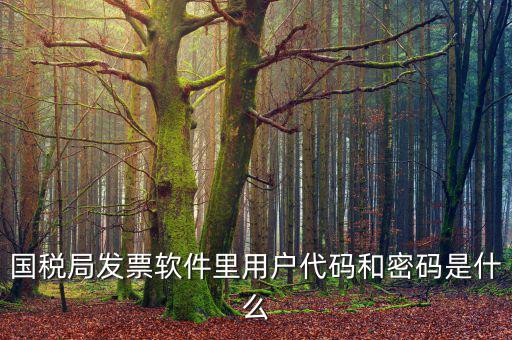 國稅局發票軟件里用戶代碼和密碼是什么