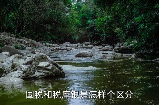 國稅和稅庫銀是怎樣個區分