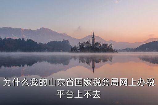 為什么登陸不了網上辦稅廳，為什么我的山東省國家稅務局網上辦稅平臺上不去