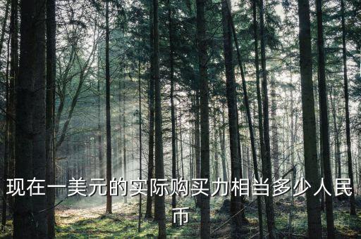 現在一美元的實際購買力相當多少人民幣