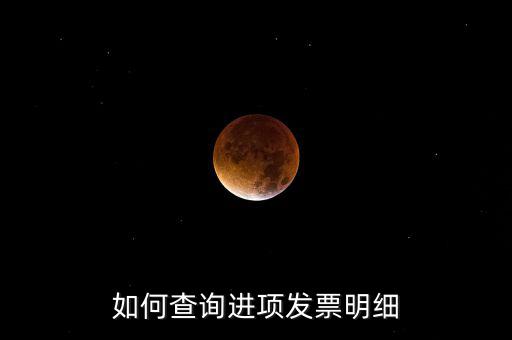 如何查詢進項發票明細