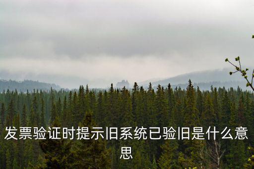 發票驗證時提示舊系統已驗舊是什么意思