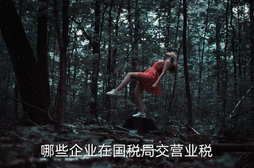 哪些企業在國稅局交營業稅