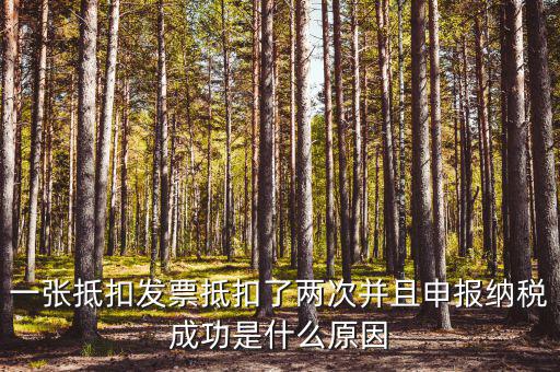 一張抵扣發票抵扣了兩次并且申報納稅成功是什么原因