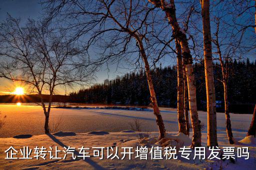 單位二手車轉讓未抵稅車開什么票，小企業出售二手車沒開發票要付什么憑證