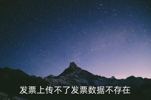 發票上傳不了發票數據不存在